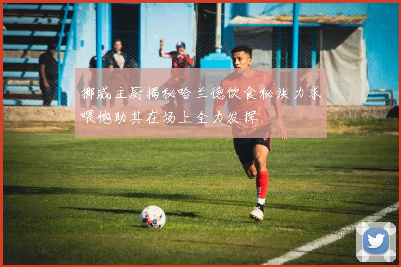 挪威主厨揭秘哈兰德饮食秘诀力求喂饱助其在场上全力发挥