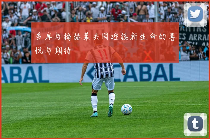 多库与梅赫莱共同迎接新生命的喜悦与期待
