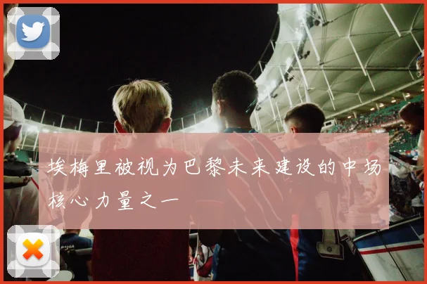 埃梅里被视为巴黎未来建设的中场核心力量之一